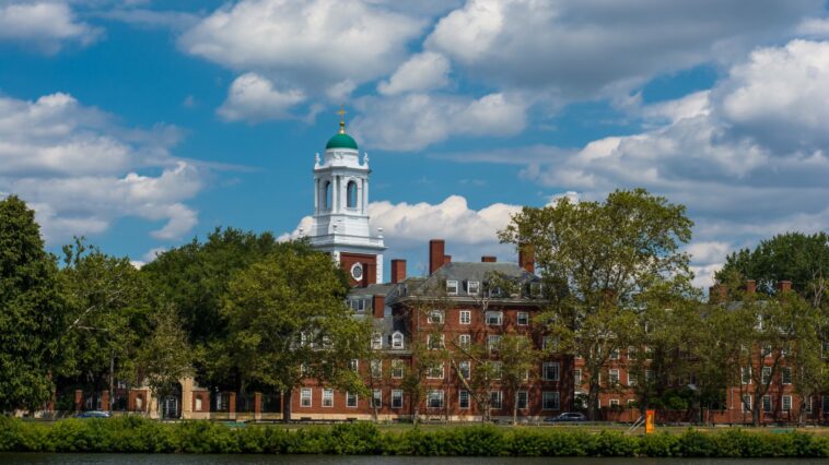 Ein Studium an der Harvard University ist der Traum vieler junger Menschen.