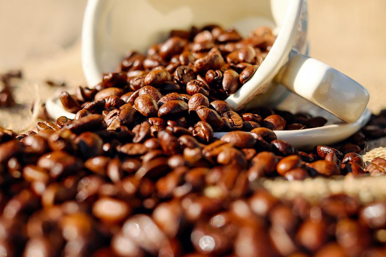 Was kostet guter Kaffee Bild von 1195798 auf Pixabay